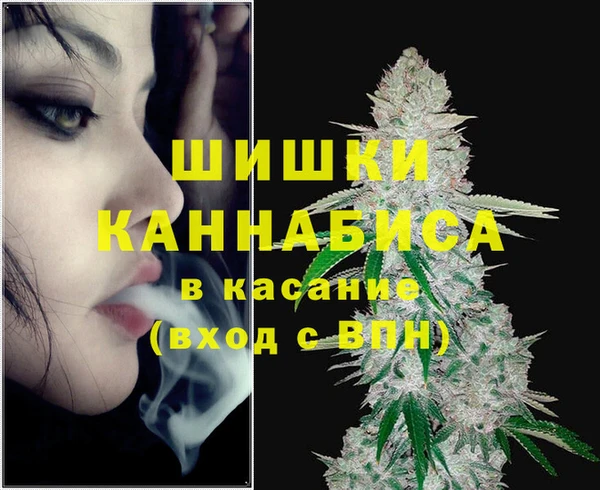 гашик Вязники