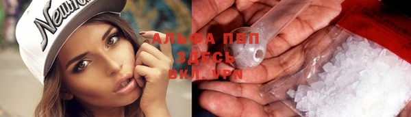 гашик Вязники