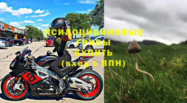 a pvp Вяземский