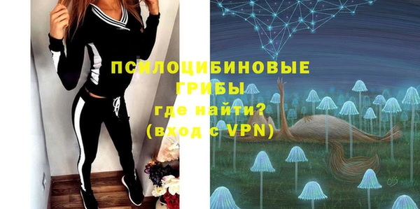 гашик Вязники