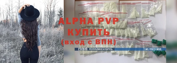 индика Волосово